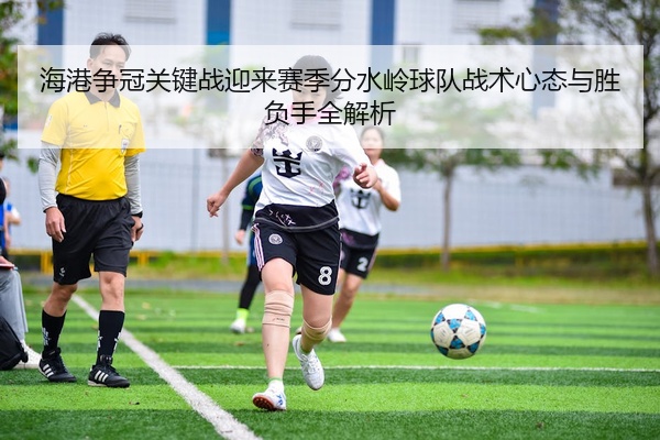 img_1776702126217_230_2_979.jpg